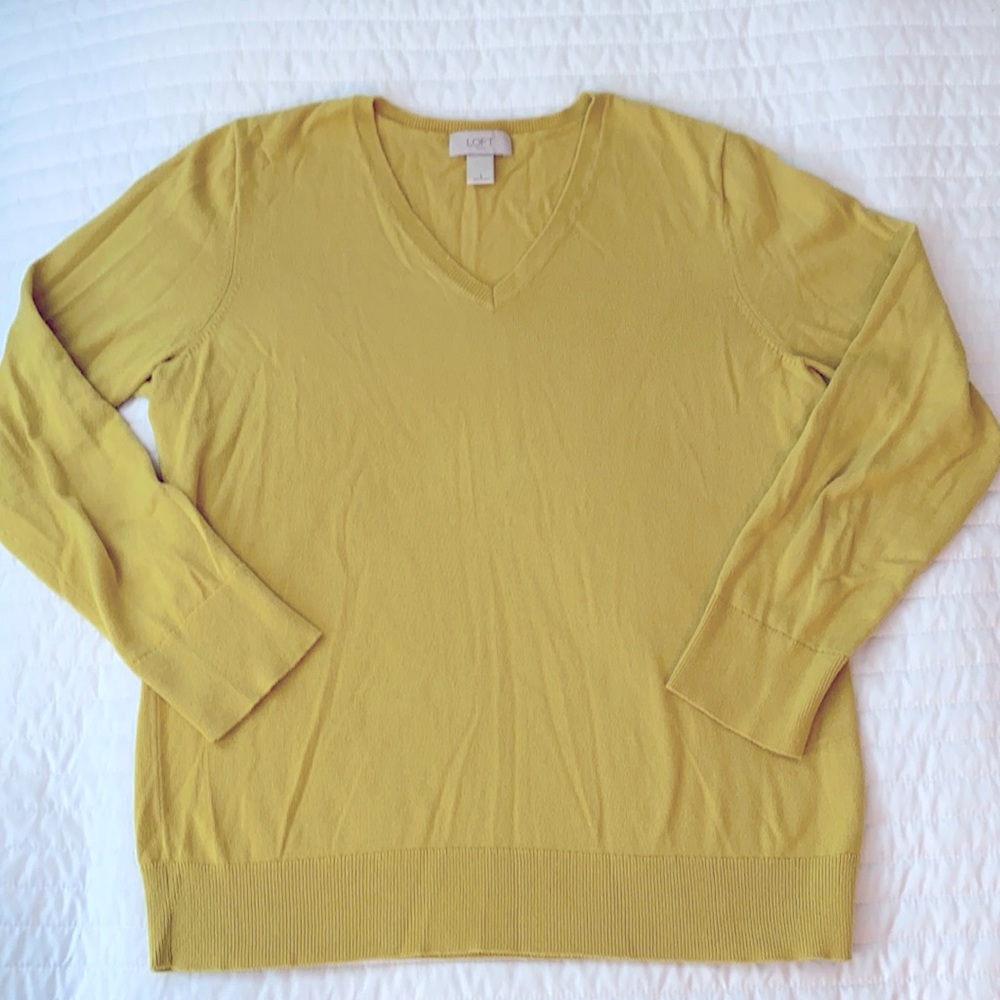 Citrine V-Neck Sweater from LOFT